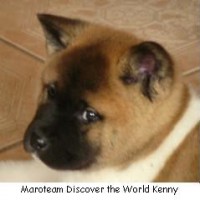Maroteam Discover the World Kenny